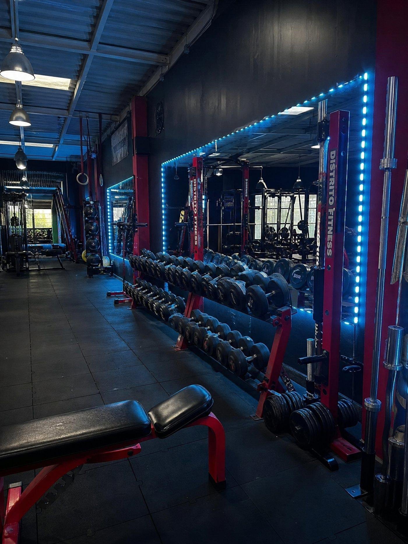 Rack de mancuernas con marco de iluminación LED en Distrito Fitness